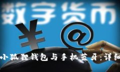 如何连接小狐狸钱包与手机蓝牙：详细步骤指南