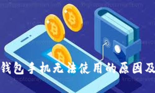 : 小狐狸钱包手机无法使用的原因及解决方案